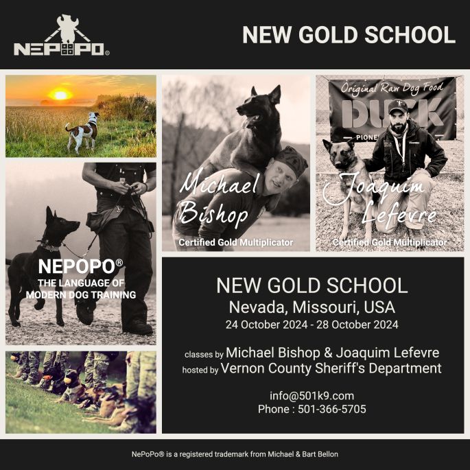 New Gold School Nevada, Missouri, USA