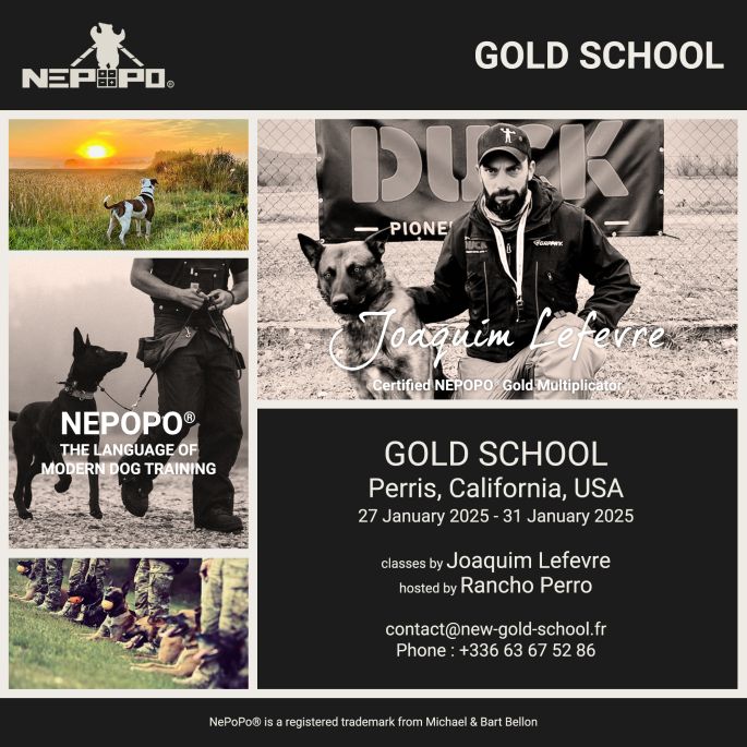 Gold School - Perris, California, USA