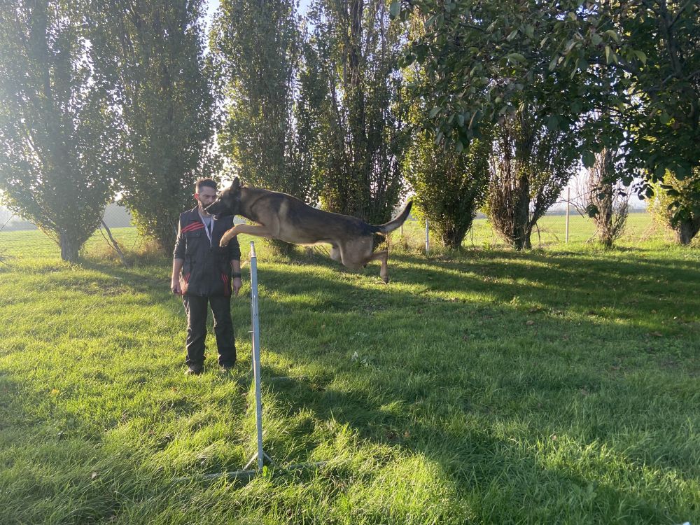 Séance de dressage près de Valence dans la Drôme