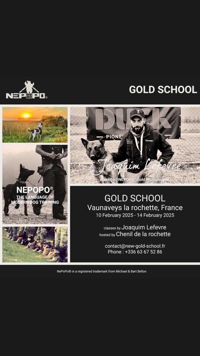 Gold School - Vaunaveys la rochette, France