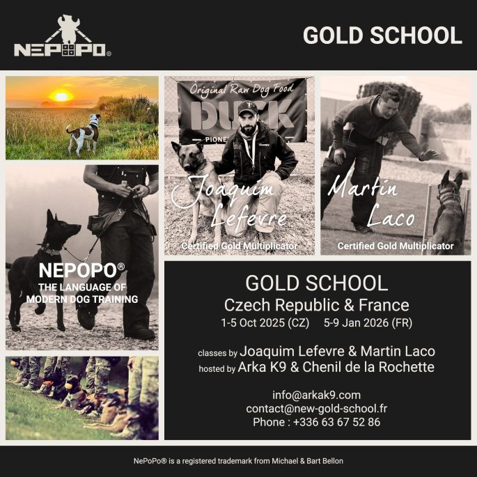 Gold School - République Tchéque & France